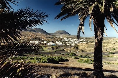 Vallée des 1000 palmiers -Haria - Lanzarote - Iles Canaries - Espagne