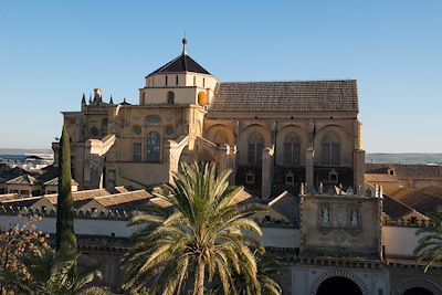 Mosquée cathédrale de Cordoue - Andalousie - Espagne