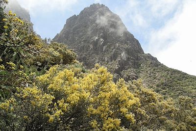 Caldera de los Marteles - Gran Canaria - Iles Canaries - Espagne