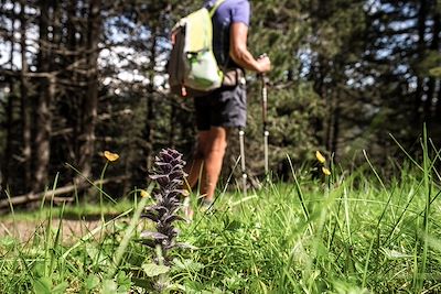 Randonnée entre Setcases et Mollo - Pyrénées Catalanes - Catalogne - Espagne