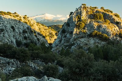 Sierra Nevada - Andalousie - Espagne