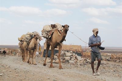 Départ du sel - Dépression de l'Afar - Ethiopie