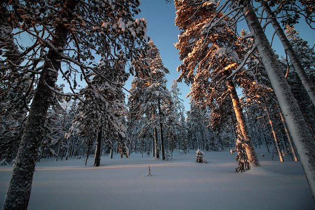 Multi-activités Finlande Laponie finlandaise