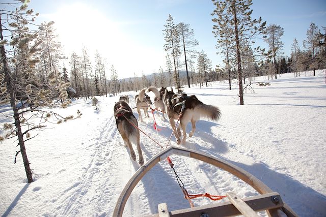 Multi-activités Finlande Laponie finlandaise