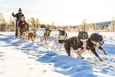 Traîneau à chiens - Laponie finlandaise - Finlande