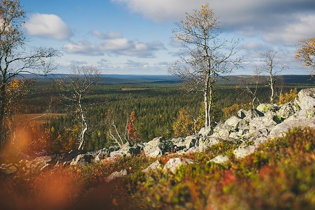 Multi-activités Finlande Laponie finlandaise