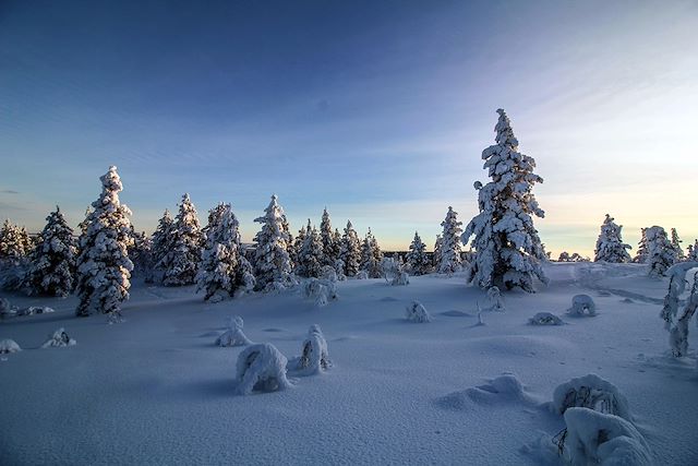 Aurores boréales Finlande Laponie finlandaise