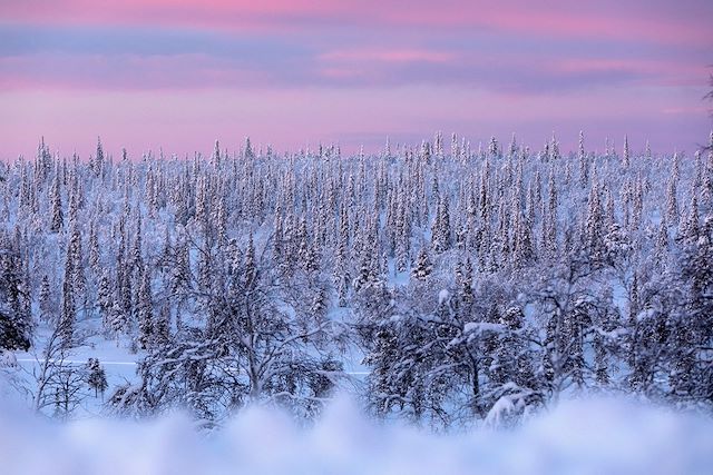 Aurores boréales Finlande Laponie finlandaise