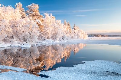Arbres enneigés et lac - Laponie - Finlande