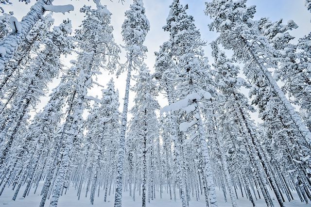 Observation animalière Finlande