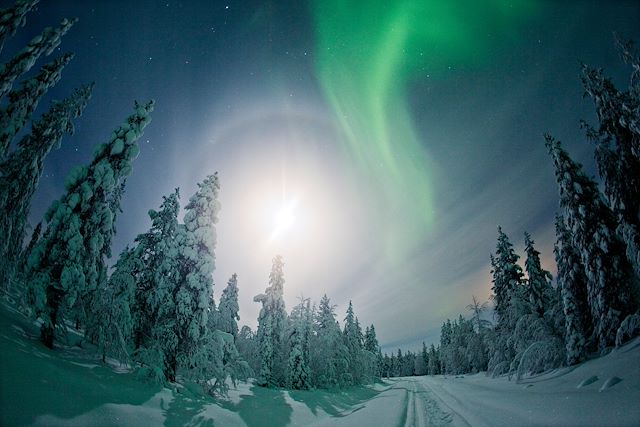 Aurores boréales Finlande Laponie finlandaise