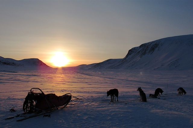 Traîneau à chiens Finlande Laponie finlandaise