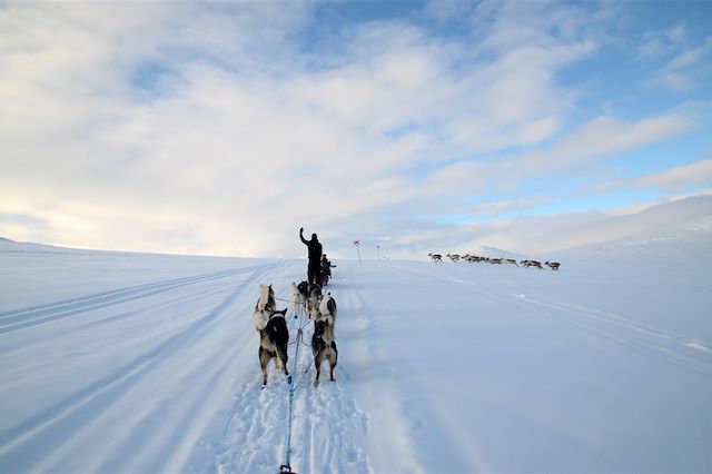 Traîneau à chiens Finlande Laponie finlandaise