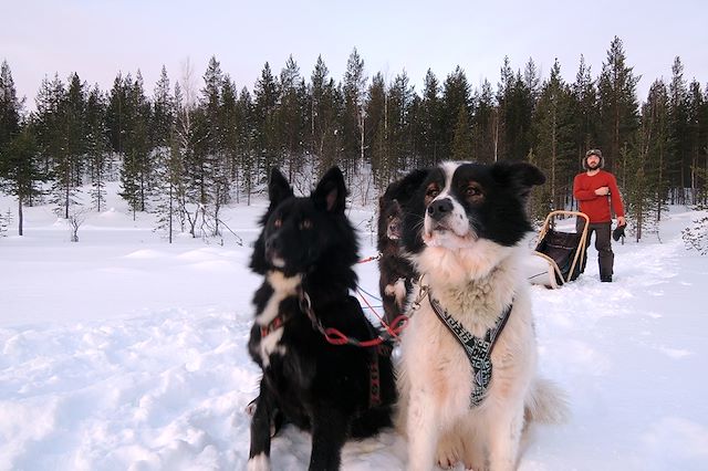 Multi-activités Finlande Laponie finlandaise