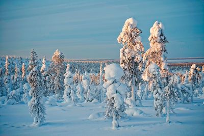 Voyage Laponie finlandaise
