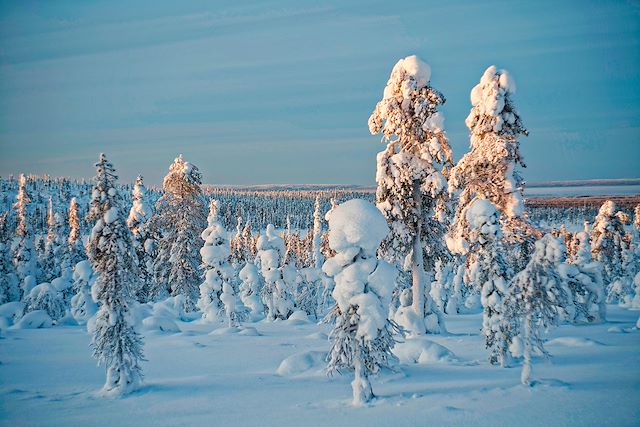 Ski de fond Finlande Laponie finlandaise