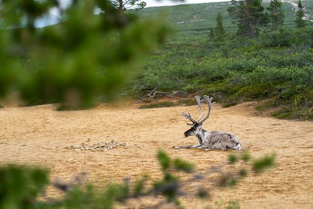 Randonnée Finlande Laponie finlandaise