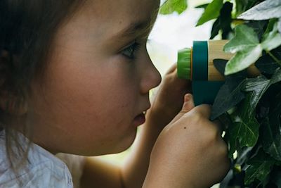 Observation de la nature