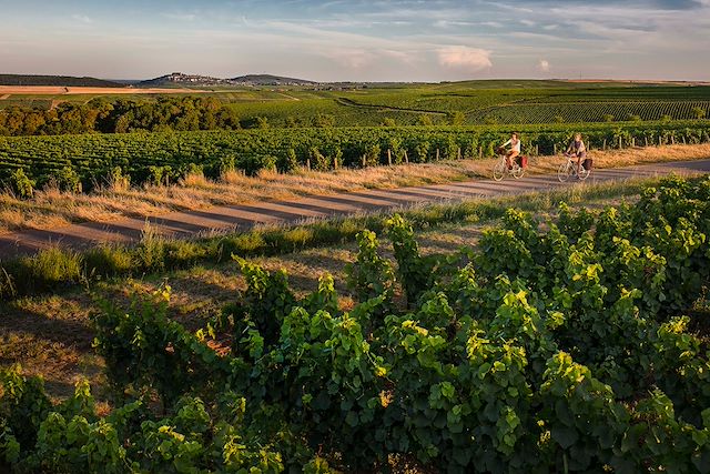 Vélo France Vallée de la Loire