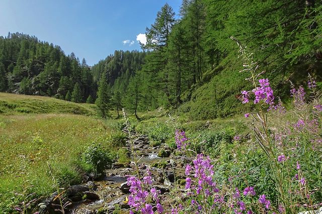 Randonnée France Alpes du Sud