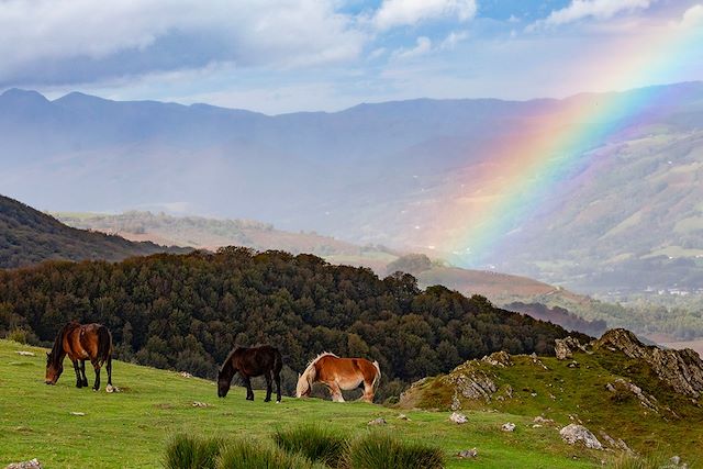 Vélo France Pays Basque et Sud-Ouest