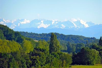 Paysage gersois avec vue sur les Pyrénées - Sud-Ouest - France