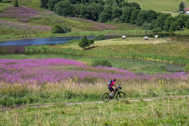 VTT / Gravel France Autres régions