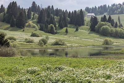 Hautes Combes - Jura - France