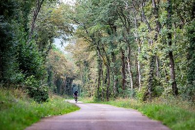 Cycliste - Jura - France