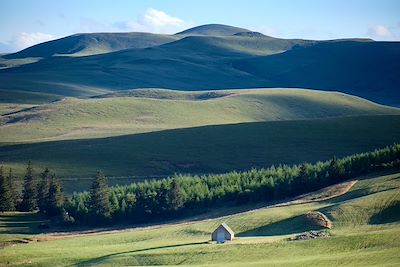 Cézallier - Massif central - France