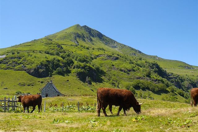 Randonnée avec âne France Massif Central