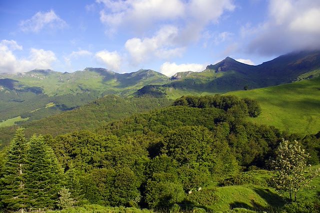 Randonnée avec âne France Massif Central