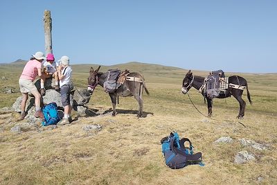 Voyage Massif Central
