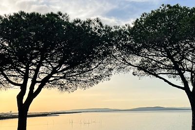 Etang de Pérols - Hérault - Occitanie - France