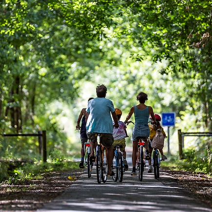 Les voies vertes du canal de Garonne en famille