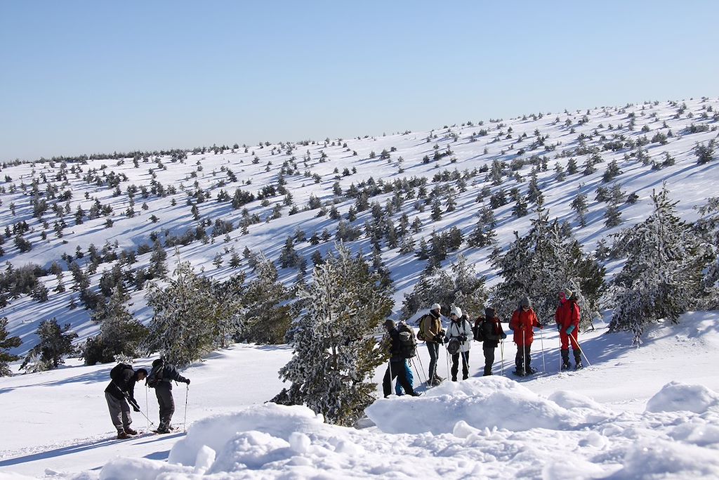 Voyage Massif Central