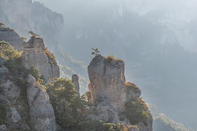 Gorges de la Jonte - Cévennes - Occitanie - France