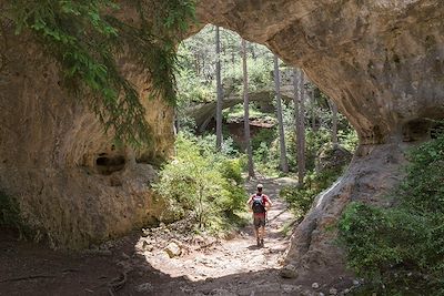 Causse Méjean - Occitanie - France