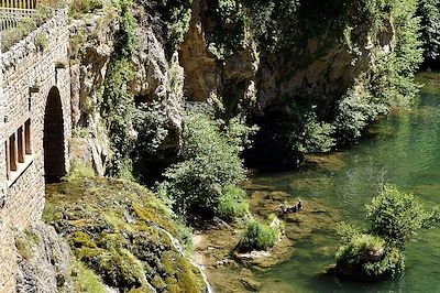Baignade dans les gorges du Tarn - France