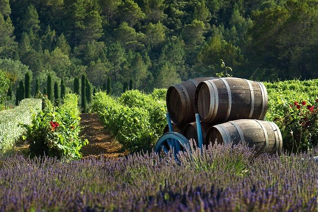 Randonnée France Provence - Côte d'Azur