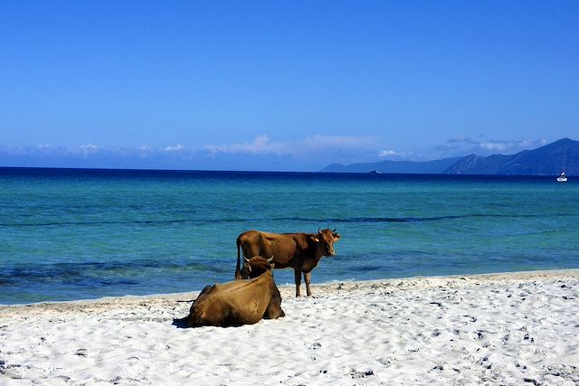 Randonnée France Corse