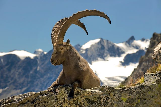 Trek France Alpes du Sud