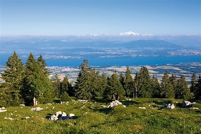 Le Lac Léman - Suisse