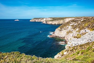 Falaises du Cap Fréhel - Côtes-d'Armor - Bretagne - France