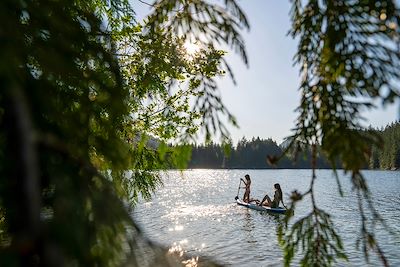 Paddle 