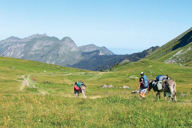 Randonnée avec âne France Alpes du Nord