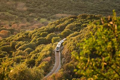 Voyage Corse