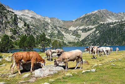 Réserve naturelle nationale du Néouvielle - Hautes-Pyrénées - France