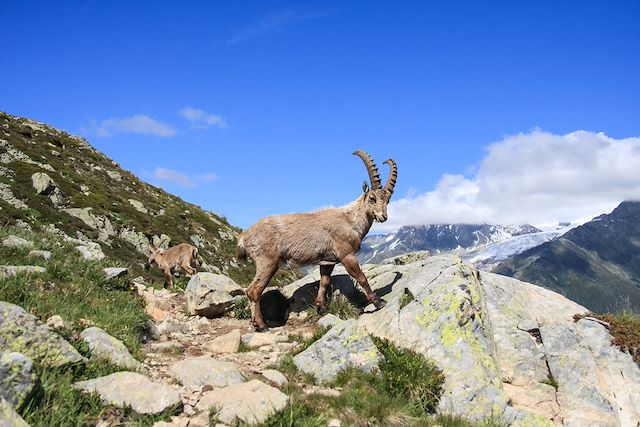 Randonnée France Alpes du Nord