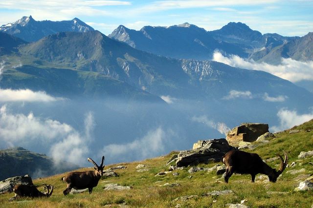 Randonnée France Alpes du Nord